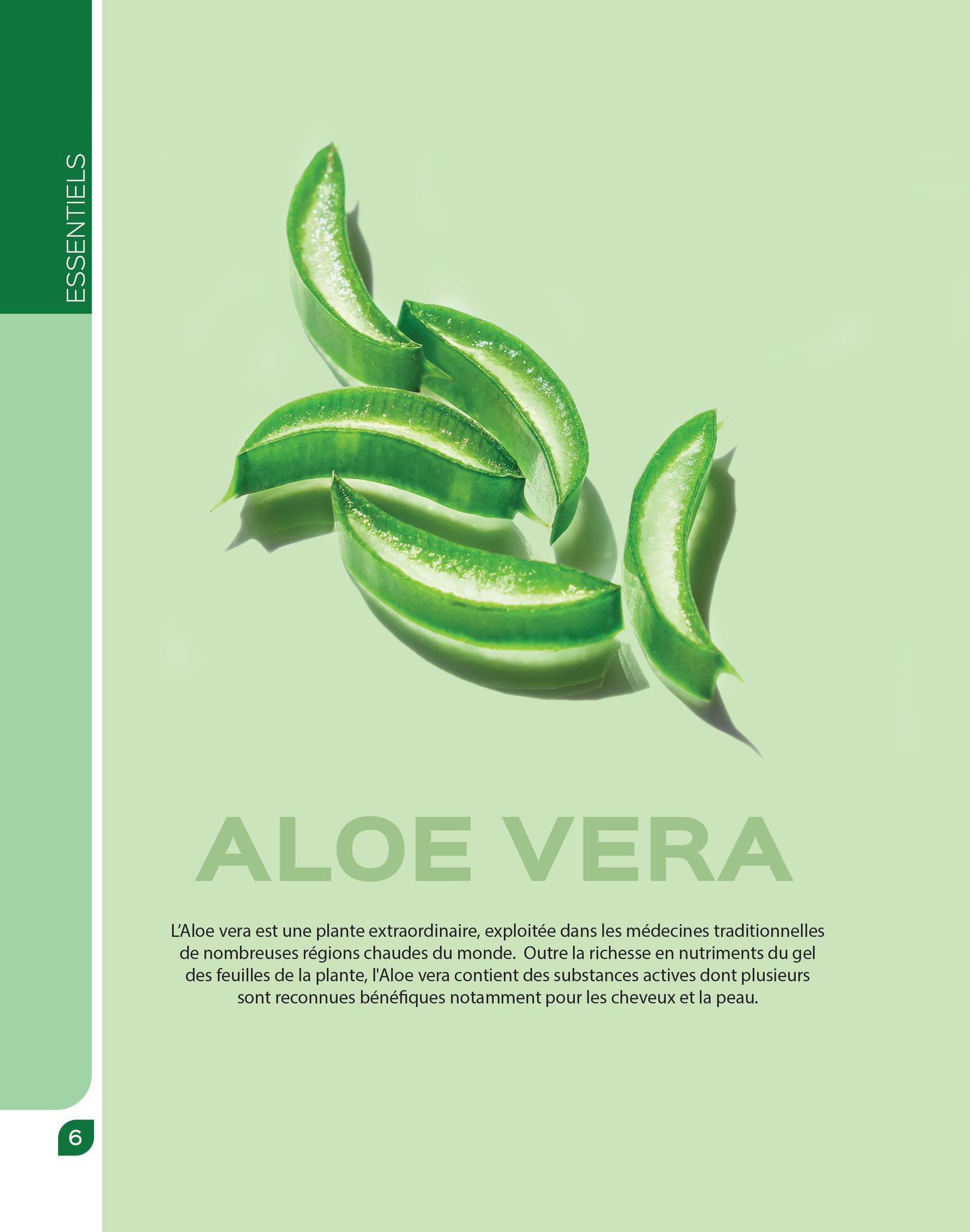 catalogue arvea octobre 2023 N03 page 068